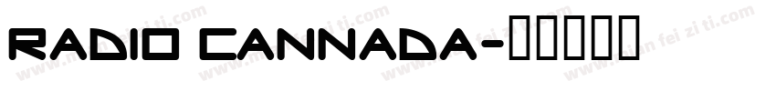radio cannada字体转换